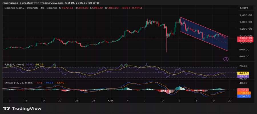 bnb-price-breaks-key-support-is-1000-next-on-the-way-down